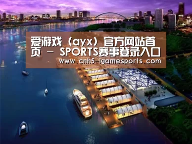 案例展示八